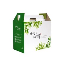 자체제작 한약박스 자연이주는선물(소) 50장, 페가AZ쿠팡쇼핑몰 본상품선택