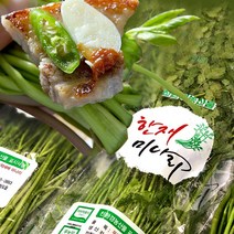 [무농약] 청도 한재 미나리 GAP인증 봄미나리 산지직송, 청도 한재 미나리 500g