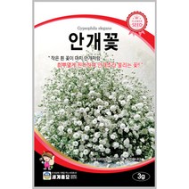 안개꽃 3g 꽃씨 일년생 안개초 씨앗 몰 봄 여름 가을 야생화 세계종묘 농사마트