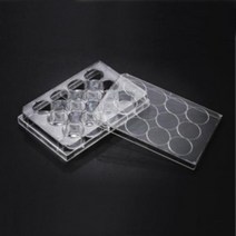 오피스안 웰플레이트(Well Plate)생물과학영양소검출실험재료BI