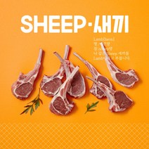 (당일발송) 6개월미만 프렌치랙 -어린양 양갈비 SHEEP새끼 (소스4종무료)양고기스테이크 쉽새끼 양갈비 2인기준 숄더랙 캠핑양갈비 2인기준