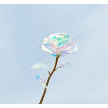 홀로그램 크리스탈 장미 카네이션 꽃 어버이날 선물, 홀로그램장미(기본)