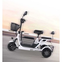 3륜전기자전거 고성능 배달용 화물 전기 3발, 상세 페이지 참고, 듀얼드라이브2인승/20A/수명80km