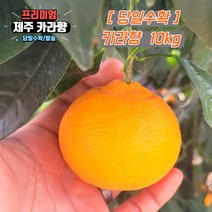 당일수확 고당도 제주 카라향 가정용 3kg 5kg 10kg 제주도귤, 선택1. 혼합과_못난이 10kg, 1개