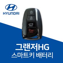 그랜저HG 스마트키 건전지 차 키배터리 파나소닉 CR2032, 1개