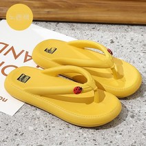 슬리퍼 여성 여름 착용 네트 레드 패션 트렌드 미끄럼 방지 부드러운 두꺼운 바닥 해변 커플 클립 온 슬리퍼 도매