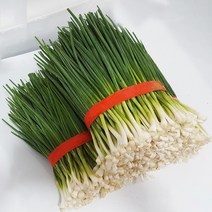 국내산 제주 국내산 깐쪽파 약 900g~1kg, 제주깐쪽파
