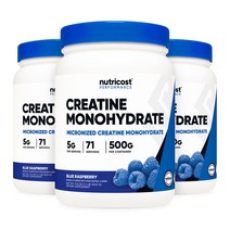 뉴트리코스트 미분화 크레아틴 파우더 블루 라즈베리맛 500g X 3병 모노하이드레이트