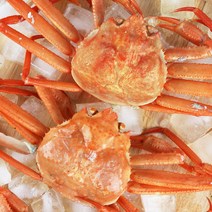 미각기행 자숙 연지홍게 고급형/실속형/육수용 1kg-3kg, 04. 자숙 연지홍게  고급형 1kg 2~4미