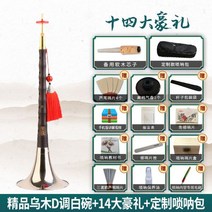 태평소 레슨 독학 풀 세트 초보자 취미 국악기 중고 배우기 초보 사물놀이 강좌 부는법 심심할때 할만한것, B 세트