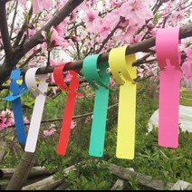 식물라벨 50P 식물이름표 나무이름표 묘목이름표 걸이 이름표 나무리본 나무플라스틱리본 고리태그 KK292, 화이트