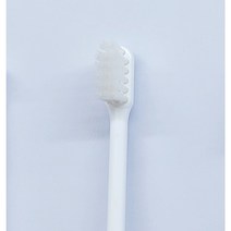 라이온 임플란트칫솔 (당일발송 US 기본형), 1팩, 1개