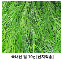 국내산 딜 10g 50g 100g 500g 1kg 산지직송 dill 허브 딜 허브딜 생잎 허브 생잎 딜 허브 향신료 요리용 데코용 식용 싱싱한 신선한