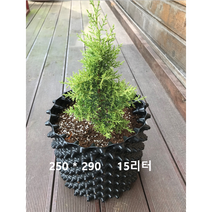 루트플러스 마술화분 매직화분 250-290 15리터 10개