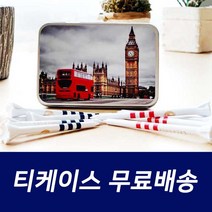 티케이스 프리미엄골프티 구성 상품 미국 바이오플라스틱 골프티 필드용품 골프티꽂이 메탈 수납 골프악세사리보관, 디자인랜덤발송