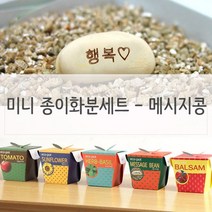 [천삼백케이] [오너클랜] 키우기쉬운식물 미니 페이퍼화분 씨앗세트 메시지콩, 단품