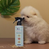 더마미스트 200ml