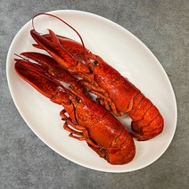 짜지않은 캐나다 냉동 자숙랍스터 400-450g 2마리
