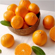 달달한 과일 제주 향 천혜향 3kg, 천혜향 1.5kg