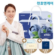 [천호엔케어] 하루활력 블루베리즙 70ml 30팩 2박스, 30개