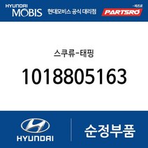 스쿠류-태핑 (1018805163) 아토스 베르나 하이브리드 라비타 클릭 엑센트 싼타페 티뷰론 엘란트라