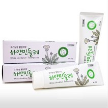 하얀민들레 치약 160g 고기능성 웰빙치약 잇몸질환 구내염, 2개-1세트