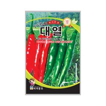 PVR대열 100립 고추씨앗 다수확성 중과종 복합내병계, 단품