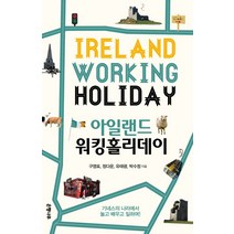 아일랜드 워킹홀리데이:기네스의 나라에서 놀고 배우고 일하며, 은행나무, 구영표,정다운,유태광,박수정 공저