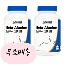 [뉴트리코스트]-M1-베타 알라닌 3000mg 120정[[2통]], 120개, 2개