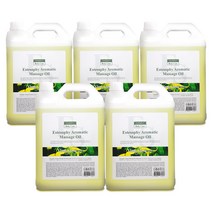 에스테소피 바디마사지오일 5L_일랑일랑 대용량아로마 500ml추가증정, 5개, 5000ml