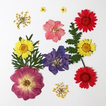 화미에듀 레진아트 압화 꽃 HR-107 공예 수업재료