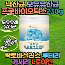 낙산균 모유유래19종유산균 프락토올리고당 가세리 뷰티르산 모유유산균 1000억유산균 람노서스 비피덤 유산균추천 4살 4세 5살 5세 6살 6세 성장기 청소년 유치원생 추천