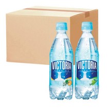강한 탄산 빅토리아 탄산수 500ml 청귤20펫+청포도20펫 (총40펫)