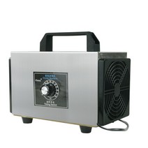 12V 차량용 오존 발생기 생성기 자동차 실내 냄새제거, 용량 10G/H - 차량 전용(12V)