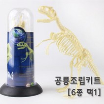 공룡뼈 화석 모형 조립 피규어 장식품 창의 학습 관찰 탐구 교재 교구 실험, 맘모스