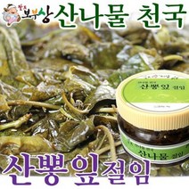 MDO7264 산뽕잎절임(500g)]나물/나물절임/장아찌/전호나물/