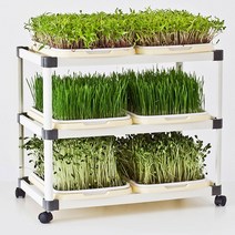 아이가든 2열3단 수경재배기 새싹 보리 재배기