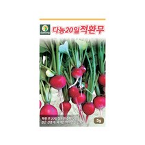 (DN) 20일적환무 씨앗(5g)