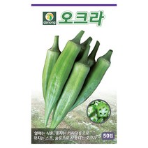 오크라 50립 - 씨 씨앗 오크라씨앗 오크라씨 채소씨 채소씨앗 별모양고추 고추씨, 05_다농_오크라(50립)