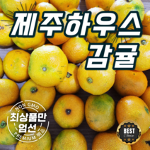 제주 하우스 감귤 제주 귤 중과 2kg 3kg 5kg 대과 3kg 5kg, 제주 하우스 감귤 3Kg(대과/벌크)