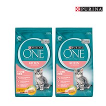 퓨리나 원캣 키튼 치킨 1.5kg 1개 2개 4개_고양이사료 고양이 사료, 닭