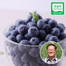 [맛딜]국내산 무농약 블루베리 생과(특대) 1kg 200gx5