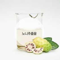노니추출물-노화관리 주름케어 주름관리 환절기피부관리, 100ml