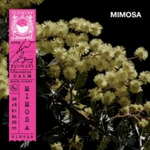 카르마카멧 아시아 향수 방향제 주머니 사쉐 50g 2개입, 미모사(Mimosa)