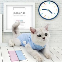 고양이 수술복 반려동물 환부복 애완 신축 통기성 중성화 환묘 옷, Sㅡ핑크