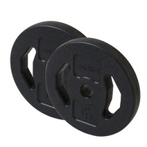 PVC 핸들아령 바벨 덤벨 원판10Kg x 2개 홈트 아령세트, 1.pvc핸들원판10kg (2개)