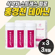 직장인 스트레스 긴장 완화제 만성 피로 개선 L-테아닌 아르지닌 남편영양제 수면보조제 청소년 심신안정 스트레스 긴장완화불면 수면보조제 정신 건강 긴장완화 스트래스 케어 테아닌