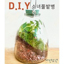 테라리움DIY 소녀 풀밭병 만들기, 소녀풀밭병