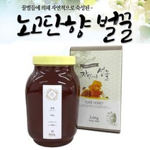 자연산 꿀 벌꿀 지리산 토종꿀 100% 천연꿀 자연숙성 밤꿀 꽃꿀 꿀답례품 꿀선물 추천, 2.4Kg, 1병