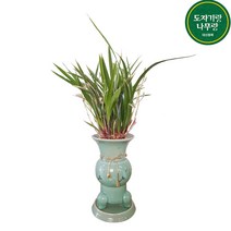 도자기랑나무랑 서양란 동양란 승진 영진 취임 오픈 결혼축하화분 개업난 선물, 황룡금 청자 동양란 개업승진화분 고급 DS-204, 1개